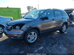 2010 Honda Cr-v Ex Champagne vin: 3CZRE4H58AG707192