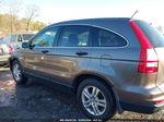 2010 Honda Cr-v Ex Champagne vin: 3CZRE4H58AG707192