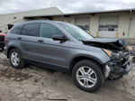 2010 Honda Cr-v Ex Gray vin: 3CZRE4H59AG706052