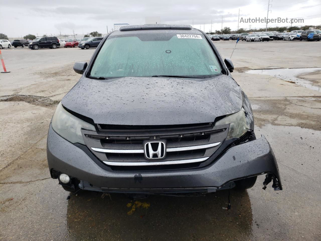 2012 Honda Cr-v Ex Gray vin: 3CZRM3H50CG701936