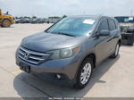 2013 Honda Cr-v Ex Gray vin: 3CZRM3H51DG704572