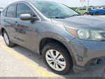 2013 Honda Cr-v Ex Gray vin: 3CZRM3H51DG704572