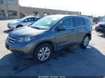 2013 Honda Cr-v Ex Gray vin: 3CZRM3H54DG702914