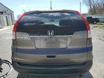 2012 Honda Cr-v Ex Gray vin: 3CZRM3H58CG703451