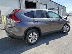 2012 Honda Cr-v Ex Gray vin: 3CZRM3H58CG703451