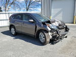 2012 Honda Cr-v Ex Gray vin: 3CZRM3H58CG703451