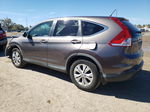 2013 Honda Cr-v Ex Brown vin: 3CZRM3H5XDG703694