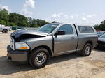 2010 Dodge Ram 1500  Gray vin: 3D7JB1EKXAG102178