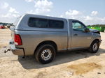 2010 Dodge Ram 1500  Gray vin: 3D7JB1EKXAG102178