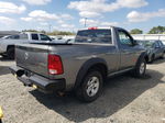 2010 Dodge Ram 1500  Gray vin: 3D7JV1ET7AG116135