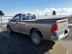 2010 Dodge Ram 1500  Tan vin: 3D7JV1ET8AG191992