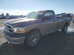 2010 Dodge Ram 1500  Tan vin: 3D7JV1ET8AG191992