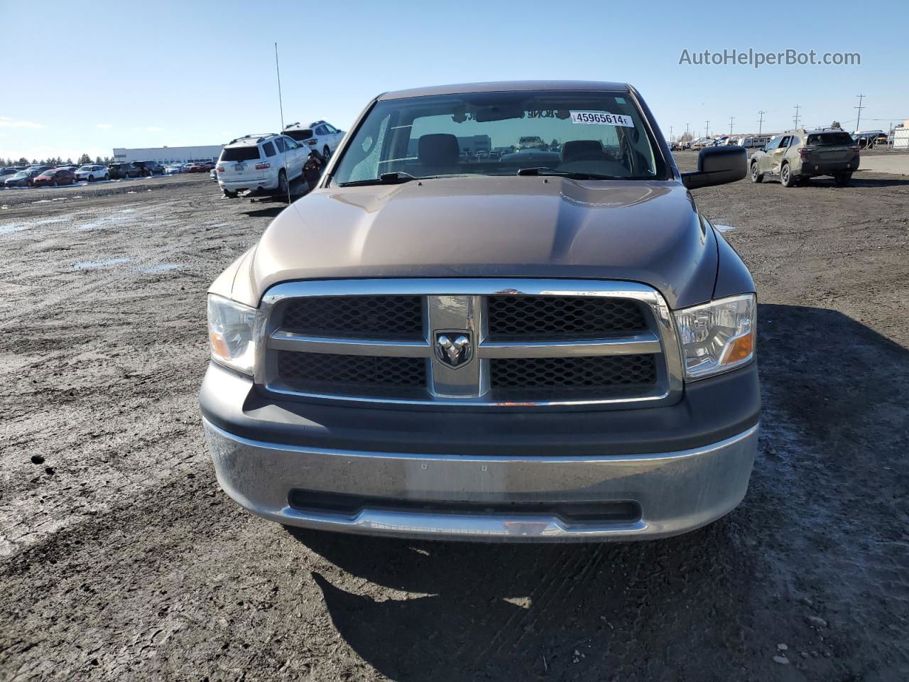 2010 Dodge Ram 1500  Желто-коричневый vin: 3D7JV1ET8AG191992