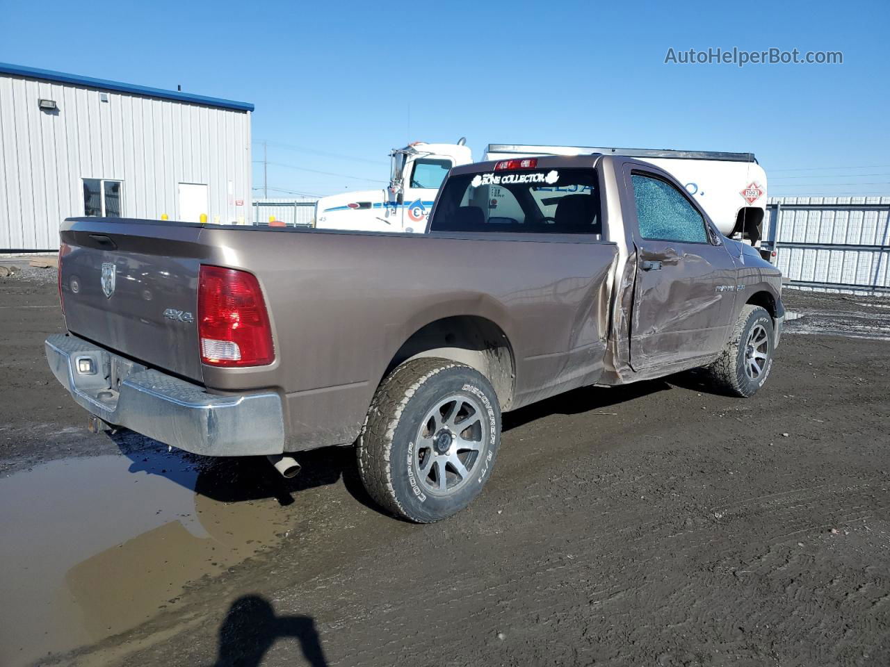 2010 Dodge Ram 1500  Tan vin: 3D7JV1ET8AG191992