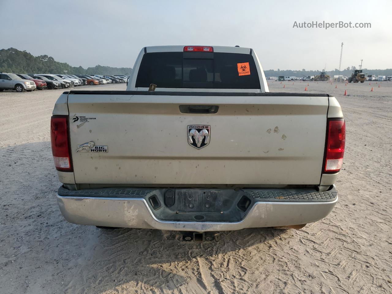 2010 Dodge Ram 2500  Tan vin: 3D7TP2CL5AG125251