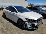 2013 Ford Fusion Titanium White vin: 3FA6P0K91DR367602