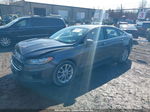 2019 Ford Fusion Hybrid Se Gray vin: 3FA6P0LU0KR109085