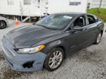 2019 Ford Fusion Se Gray vin: 3FA6P0LU0KR183039