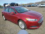 2014 Ford Fusion Se Hybrid Red vin: 3FA6P0LU3ER310600