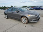 2013 Ford Fusion Se Hybrid Gray vin: 3FA6P0LU4DR206163