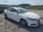 2014 Ford Fusion Se Hybrid Белый vin: 3FA6P0LU4ER227127