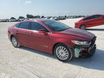 2016 Ford Fusion Se Hybrid Red vin: 3FA6P0LU6GR169850