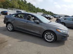 2019 Ford Fusion Se Gray vin: 3FA6P0LU6KR158310