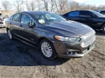 2016 Ford Fusion Se Phev Серый vin: 3FA6P0PU9GR373472