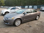 2013 Ford Fusion Se Phev Gray vin: 3FA6P0PUXDR351637