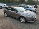 2013 Ford Fusion Se Phev Gray vin: 3FA6P0PUXDR351637