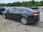 2013 Ford Fusion Titanium Phev Black vin: 3FA6P0SU6DR271906