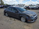 2010 Ford Fusion Hybrid Серый vin: 3FADP0L30AR352084