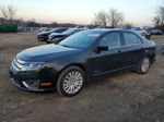 2010 Ford Fusion Hybrid Черный vin: 3FADP0L31AR335200