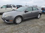 2010 Ford Fusion Hybrid Gray vin: 3FADP0L36AR182149