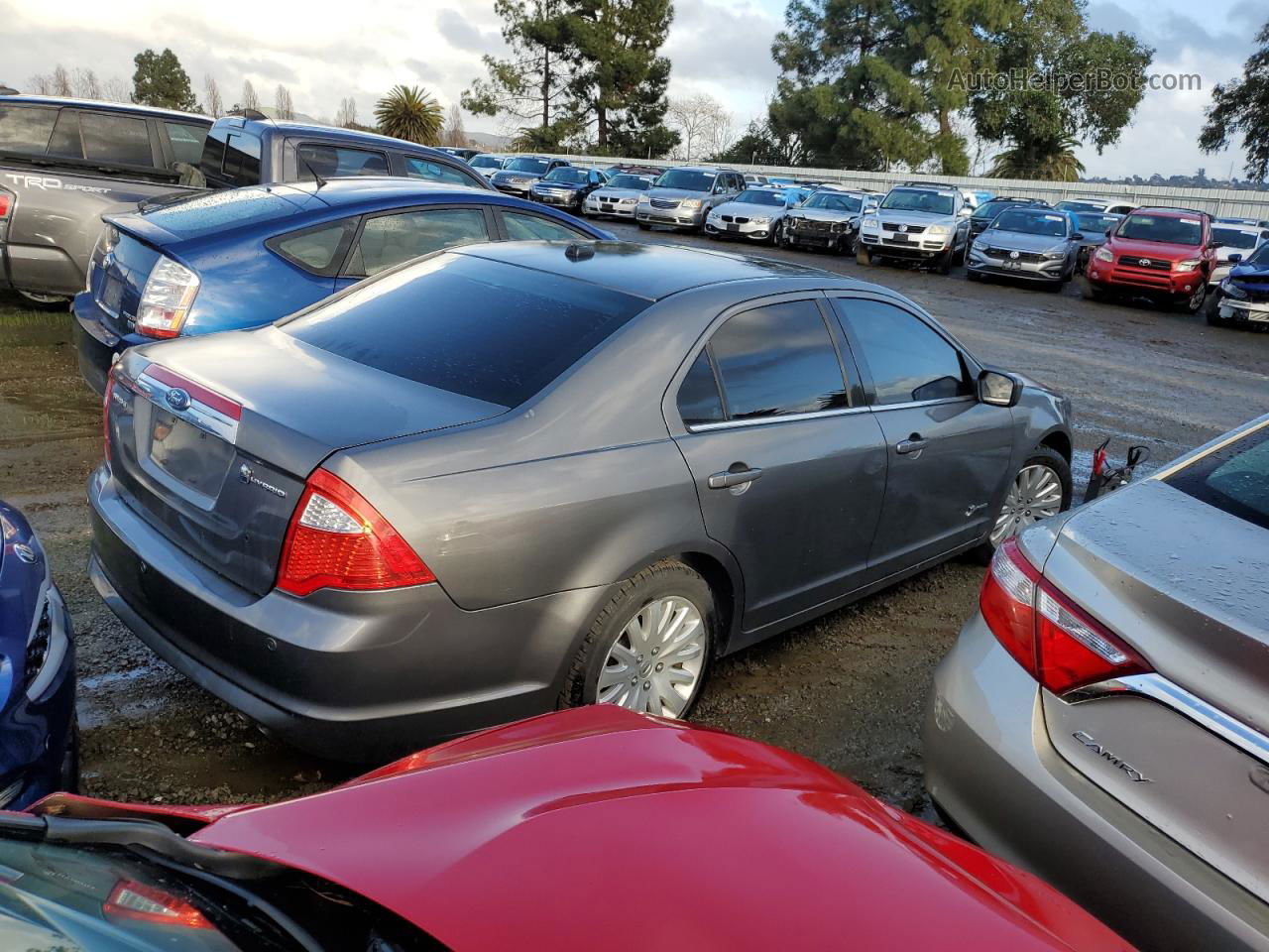 2010 Ford Fusion Hybrid Tan vin: 3FADP0L3XAR305872