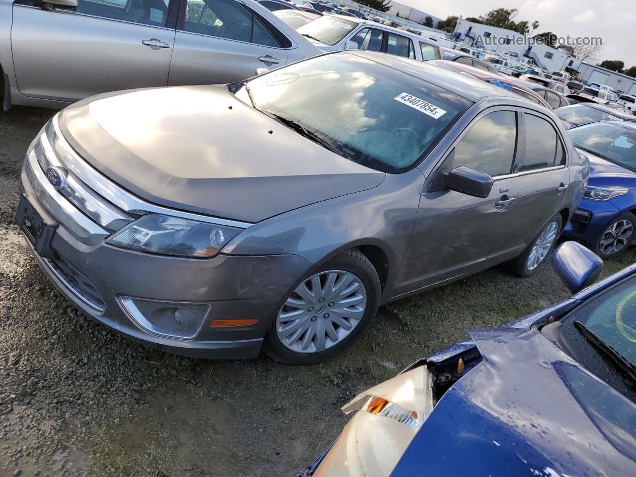 2010 Ford Fusion Hybrid Tan vin: 3FADP0L3XAR305872