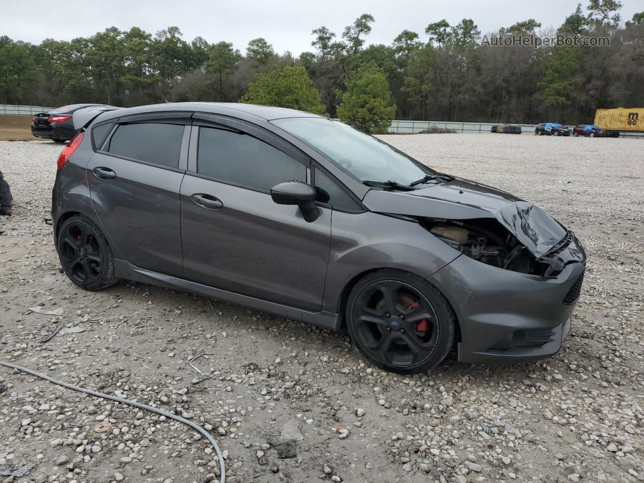 2019 Ford Fiesta St Gray vin: 3FADP4GX4KM121241