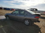 2001 Ford Escort  Gray vin: 3FAFP13P21R160800