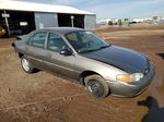 2001 Ford Escort  Gray vin: 3FAFP13P21R160800