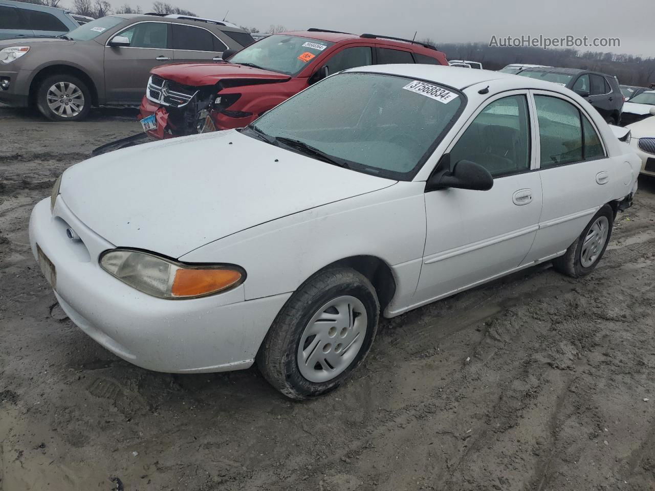 2001 Ford Escort  White vin: 3FAFP13P71R220506