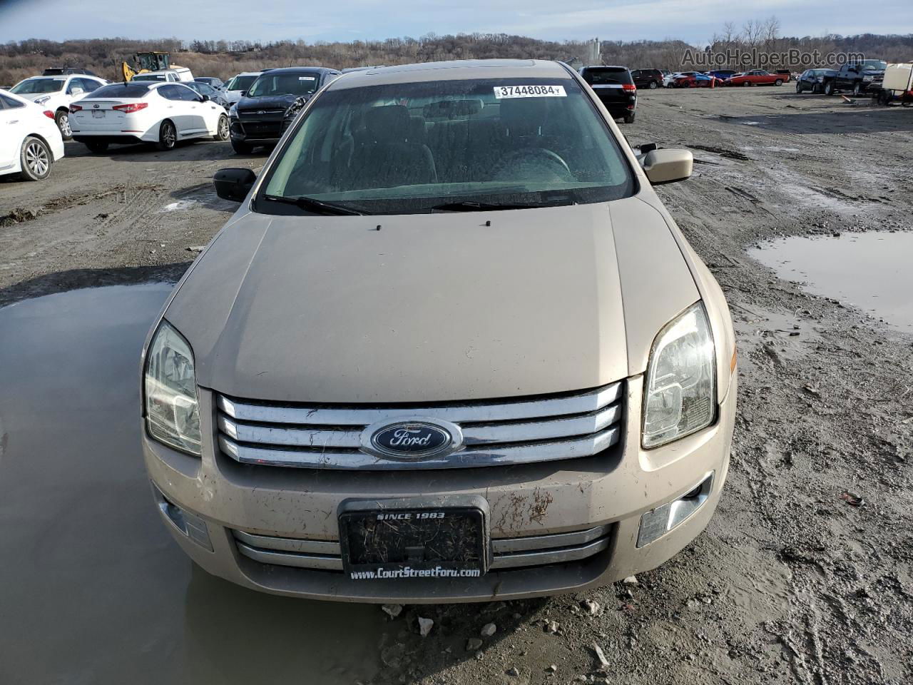 2006 Ford Fusion Sel Gold vin: 3FAHP08146R246415