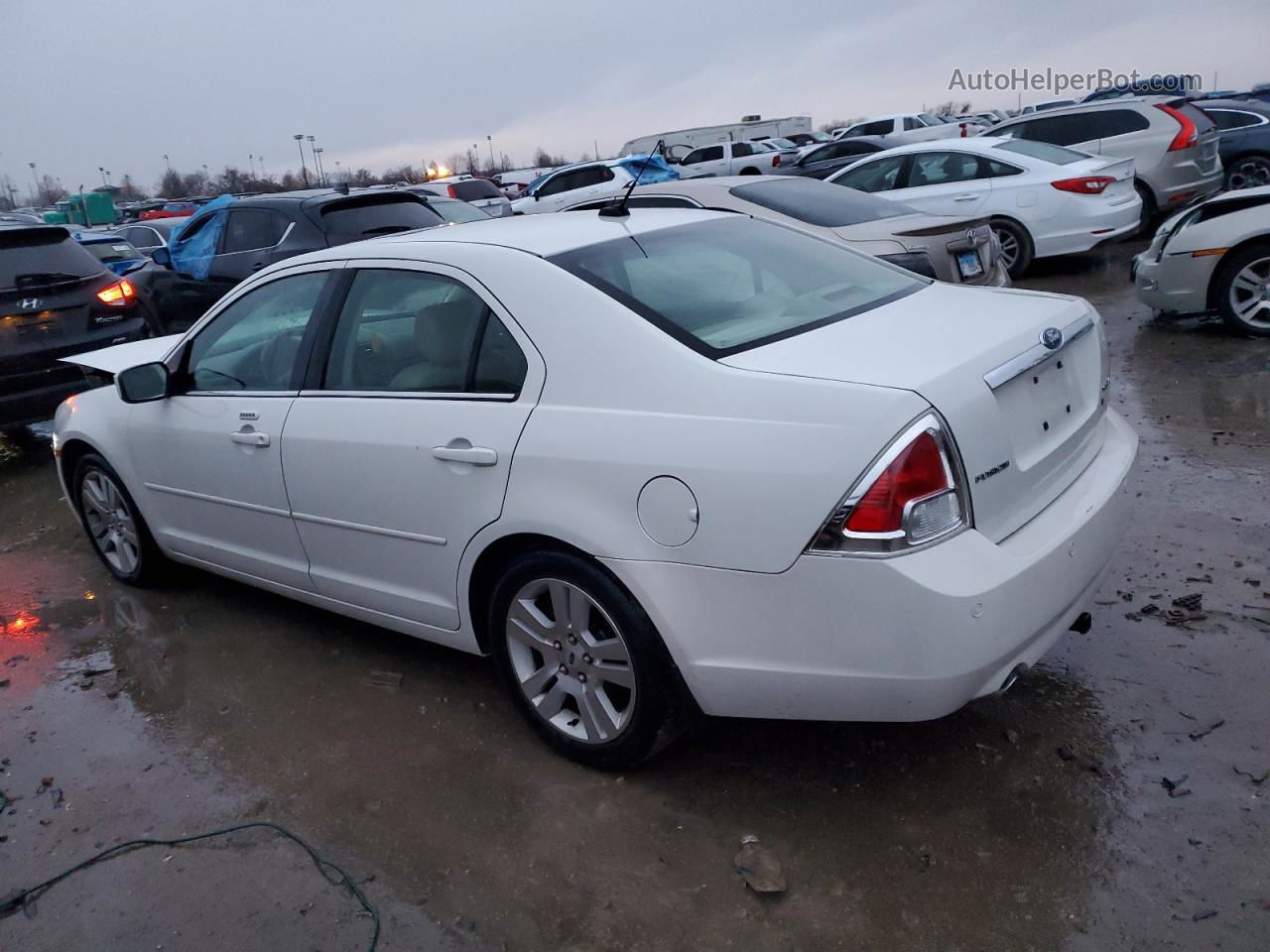 2008 Ford Fusion Sel White vin: 3FAHP08158R161604