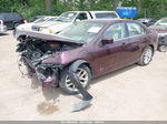 2012 Ford Fusion Sel Бордовый vin: 3FAHP0CG7CR415379