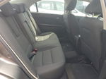 2010 Ford Fusion Se Gray vin: 3FAHP0HG9AR356535