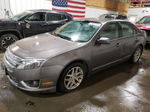 2010 Ford Fusion Sel Gray vin: 3FAHP0JA7AR228543