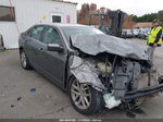 2010 Ford Fusion Sel Gray vin: 3FAHP0JG2AR294776