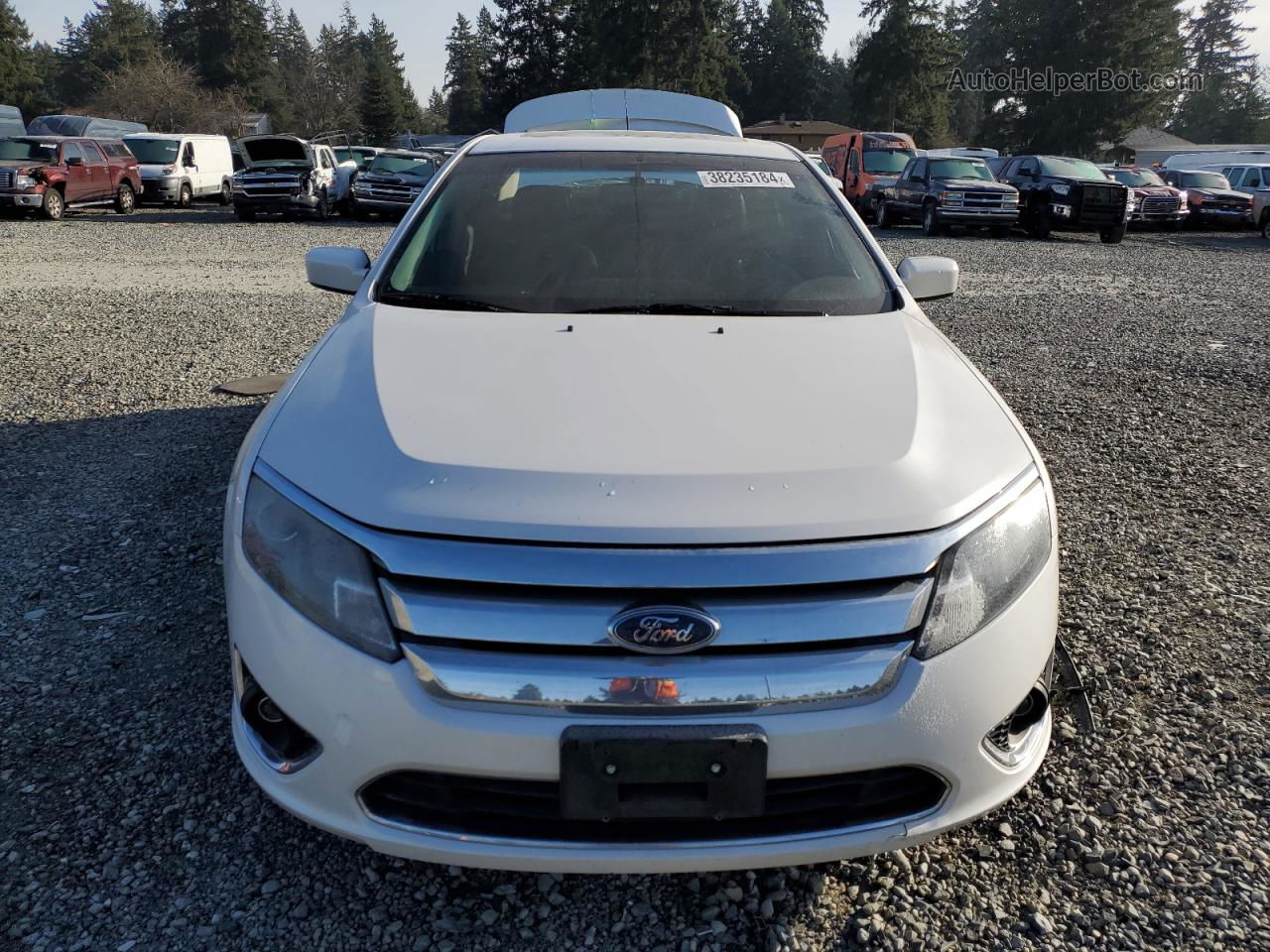 2010 Ford Fusion Sel White vin: 3FAHP0JG3AR136611