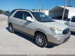 2004 Buick Rendezvous   Gray vin: 3G5DA03E74S593075