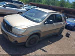 2004 Buick Rendezvous Cx Желто-коричневый vin: 3G5DA03EX4S562340