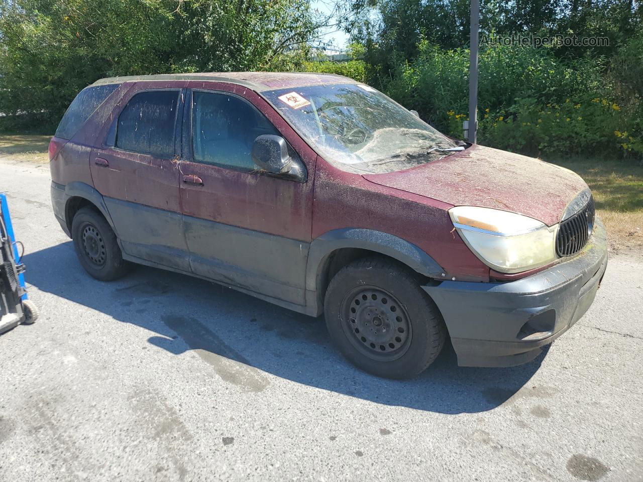 2004 Buick Rendezvous Cx Темно-бордовый vin: 3G5DB03E34S550639